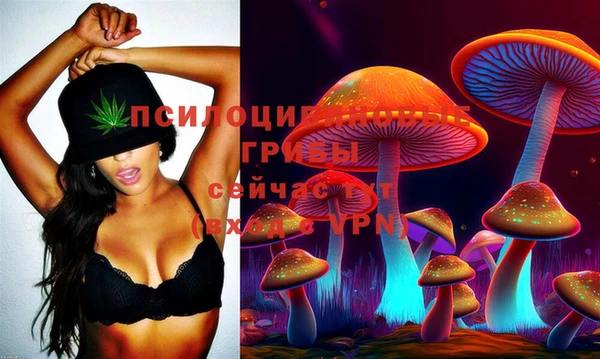 дурь Абдулино