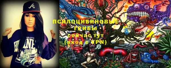 прущая мука Абаза